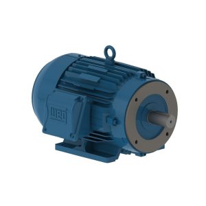 Weg - Motor Trifásico 3000 RPM W22 IE1 IP55 50hz B34