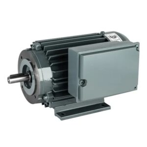 Czerweny- Motor Monofásico 3000 RPM IE1 IP54 50hz B34